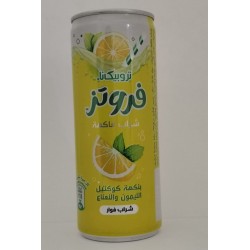 Frutz Lemon Mint Cans 240 ml Tight 30