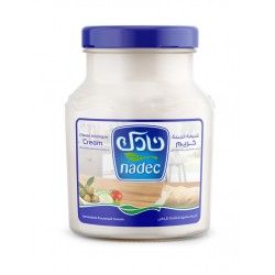 Nadik Similar to cream cheese 900 grams tighten 6